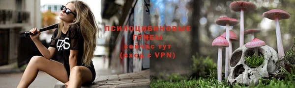 тгк Алзамай