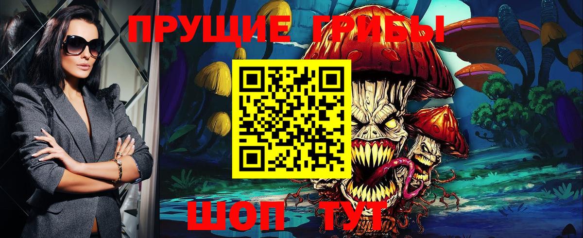 Галлюциногенные грибы Psilocybe Североуральск