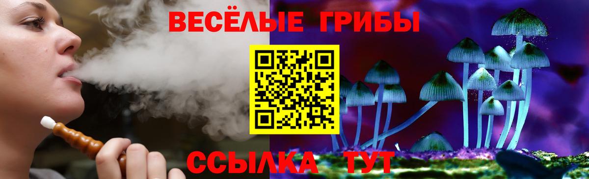 наркотики  Вход с VPN  Североуральск  Псилоцибиновые грибы мухоморы  Псилоцибиновые грибы GOLDEN TEACHER 